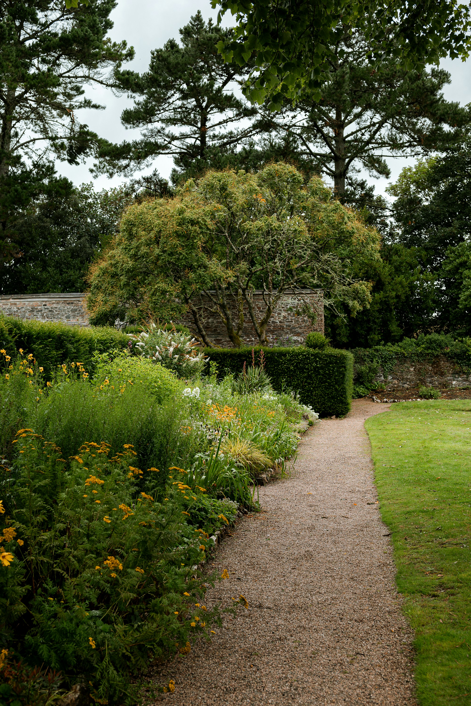 Beispiel: Gartenweg mit Bepflanzung